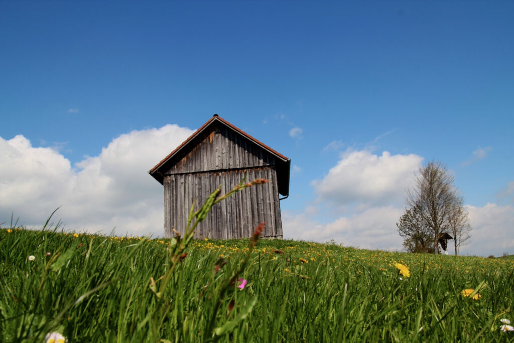 Eine Hütte steht im Allgäu auf einer Wiese.